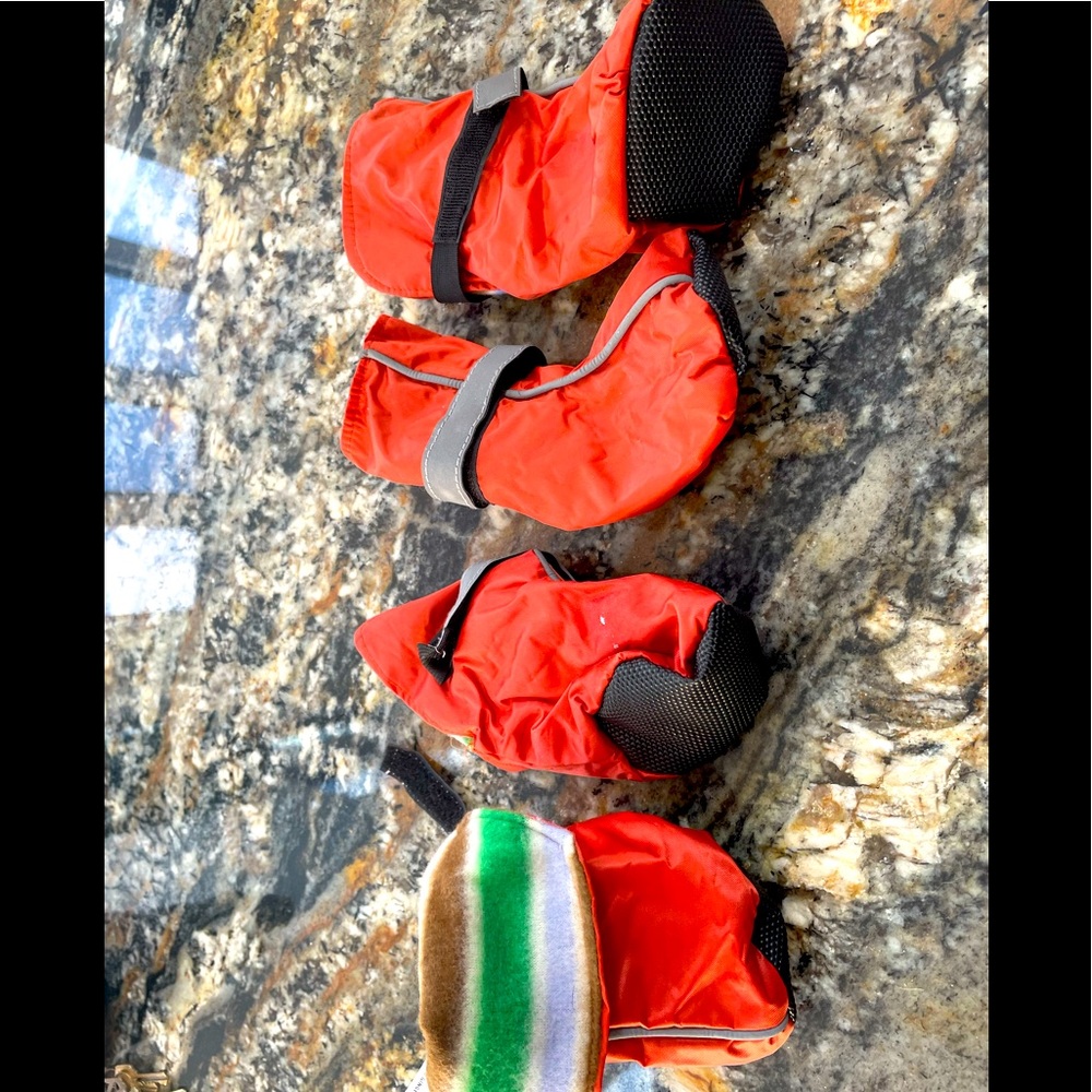 Pet shoes